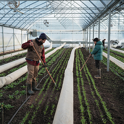 Year-round carbon neutral greenhouse production